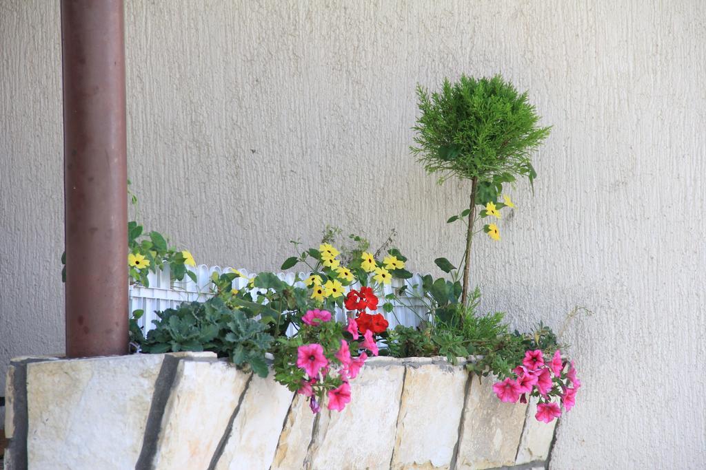 Apartment Apolon Planinski Delnice Dış mekan fotoğraf